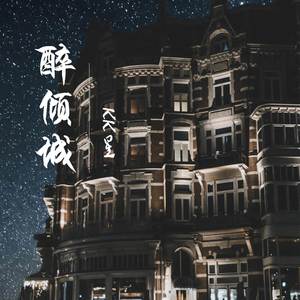 醉倾城 (DJ版)封面