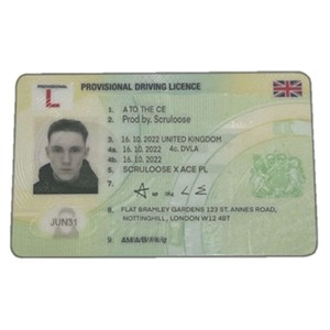 Provisional License (Explicit)