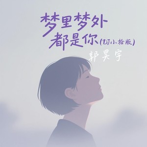 梦里梦外都是你 (DJ小拾版伴奏)
