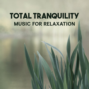 Total Tranquility – Music for Relaxation, Sleep Therapy, Relaxing Music Therapy for Shiatsu Massage, Peaceful Sleep, Healing Sounds for Mindfulness