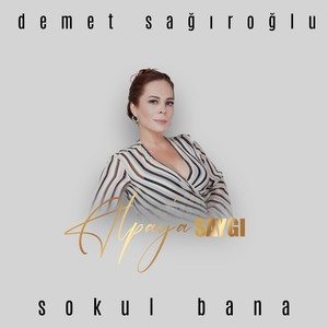 Sokul Bana (Alpay'a Saygı)