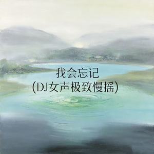我会忘记-DJ梦儿
