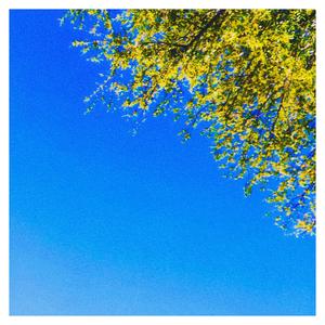 Under The Stars (feat. Kendrick Hatake & aghost) (Explicit)