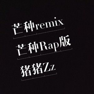 音阙诗听-芒种Remix Rap版 (Demo)