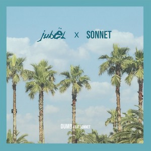 Dumb (feat. Sonnet) (Remix)