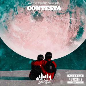 Contesta (feat. Efectvo, El Crespo & Black Bird) [Explicit]