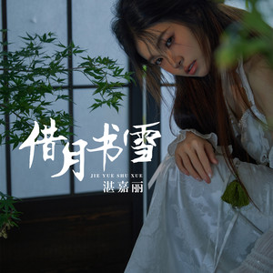 借月书雪 (伴奏)