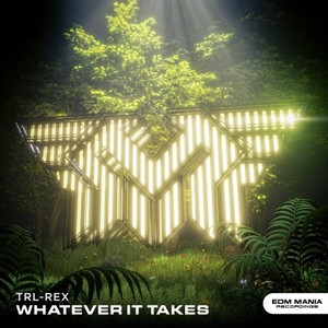 Whatever It Takes (Radio Edit)