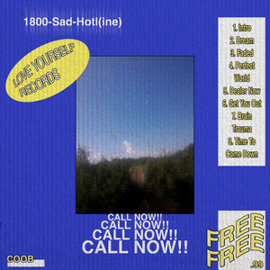 1800-Sad-Hotl(ine)