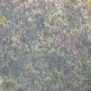 Rainstorm with 396 Hz