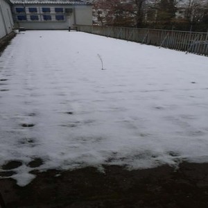 Arne hat schon wieder sein Handy Verloren