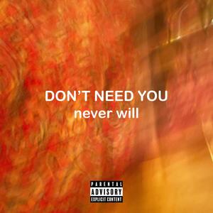 DON'T NEED YOU (never will) [Explicit]