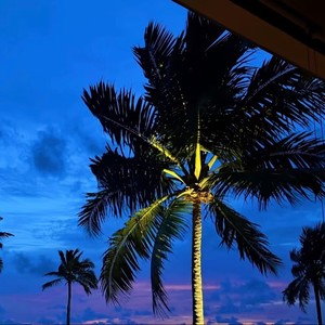 Drive Pluto (超强beat)