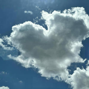 Hard life (feat. Young Noah)