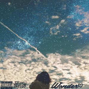 Wonder (Freestyle) (Explicit)