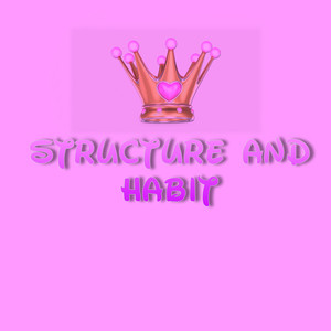 Structure and Habit (Explicit)