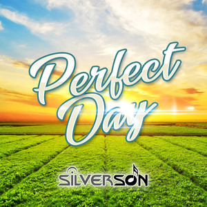 Perfect Day