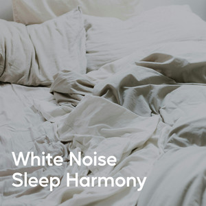 Peaceful Night Sound