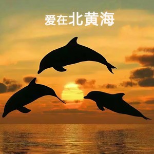 爱在北黄海