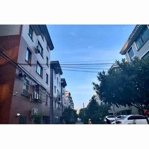 藤井瑶 - 丫蛋蛋 - 大田後生仔