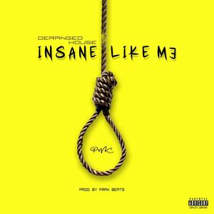 Insane Like Me (Explicit)