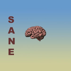 Sane