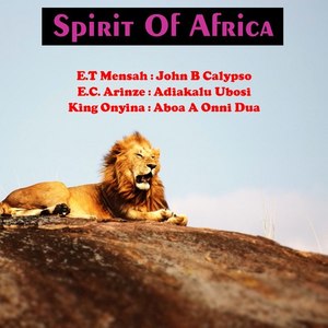 Spirit of Africa