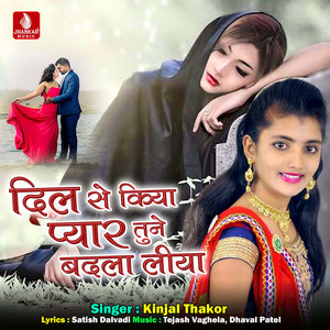 Dil Se Kiya Pyar Tune Badla Liya - Single