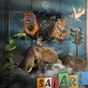 Safari (Explicit)