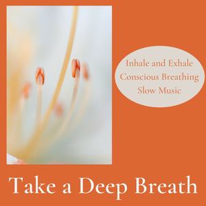 Take a Deep Breath: Inhale and Exhale Conscious Breathing Slow Music