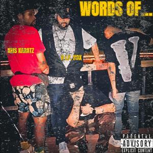 Words Of... (feat. CHR0NIAC) [Explicit]