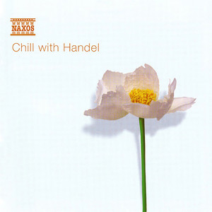 Organ Concerto No. 1 in G Minor, Op. 4, No. 1, HWV 289: Organ Concerto in G Minor, Op. 4, No. 1 - Andante