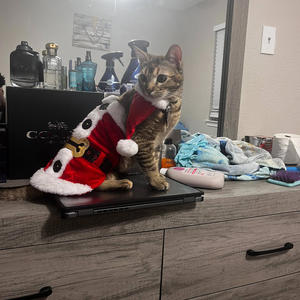 Temple Run (feat. lil child) (Explicit)