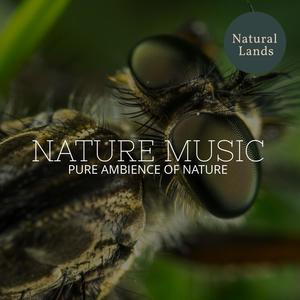 Nature Music - Pure Ambience of Nature