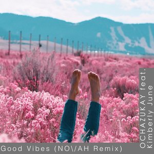 Good Vibes (Novah Remix)