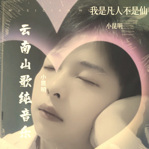 dj-我是凡人不是仙 (Remix)