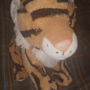 Running out of Time (R.O.O.T.) (Explicit)