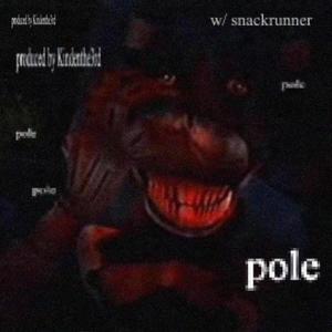 pole (feat. snackrunner) [Explicit]