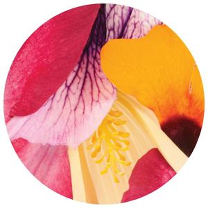 and then i felt safe.