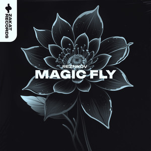 Magic Fly