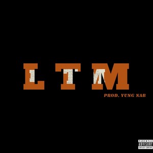 L T M (Explicit)