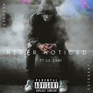 Never Noticed (feat. Lil Zani X) (Explicit)