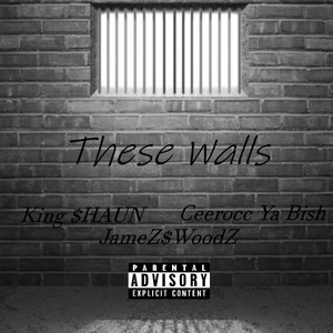 These Walls (Explicit)