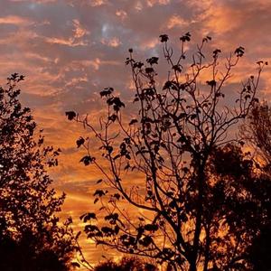 Back In Line (Explicit)