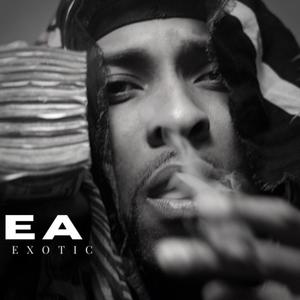 Gotta Jus Flip (Explicit)