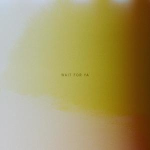 Wait(feat. Evan Ford)