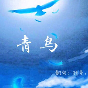 青鸟 (国语)封面