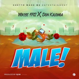 Male (feat. Don kalonga)
