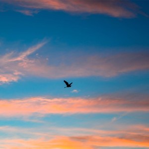 世界上最远的距离