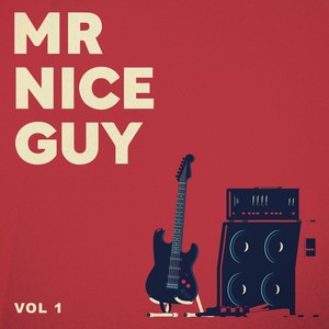 Mr Nice Guy, Vol. 1